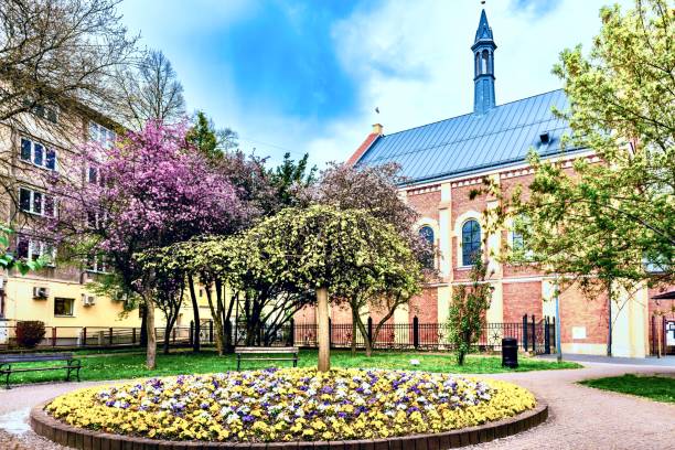 istock Fragment of the spring blooming 2085407773