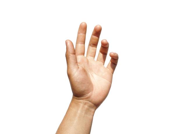istock A man's hand raised his hand, gesturing like I was about to grab something.  Or about to help isolated on white background. 2085412474