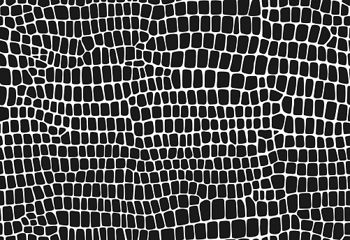 Crocodile, dinosaur and snake skin pattern, reptile animal leather background. Vector monochrome seamless texture with distinctive scales and smooth surface, conveying sophistication and elegance
