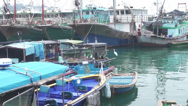 The image shows a crowded harbor with many fishing boats docked together