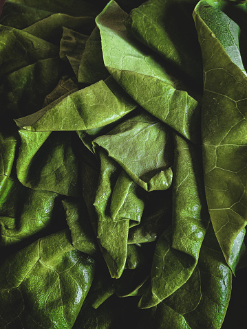 Close up photo of a head of lettuce