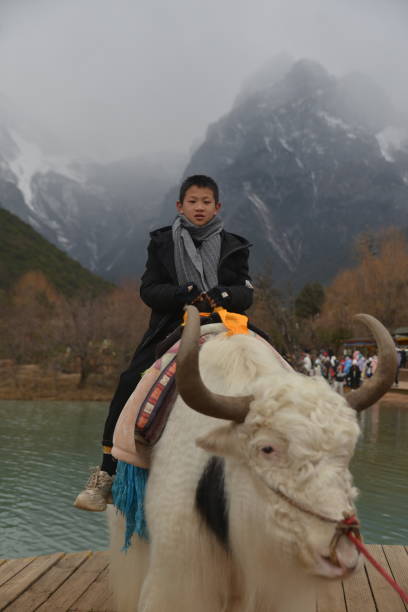 istock Panorama of Yulong Snow Mountain 2085515489