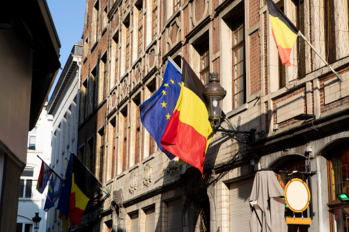 European Union EU and french flag - Tricolore - for France on  poles waving in the wind with a classic palace in background