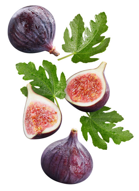 istock Falling figs fruits and fig leaves isolated on white 2085580778