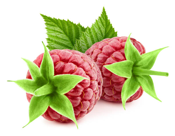 istock Raspberri berry with leaves isolated on white background 2085591787