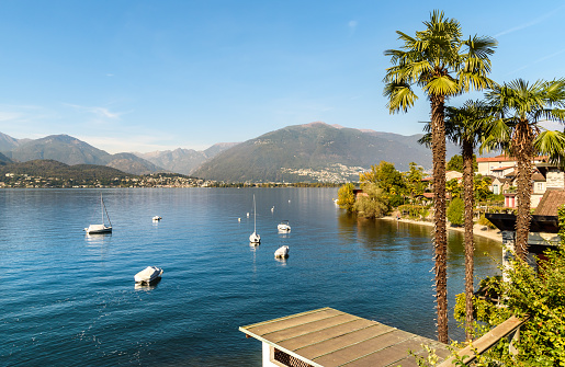 Landscape of Lake Maggiore with palm trees and mountains from Gerra Gambarogno, Ticino, Switzerland