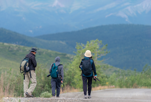 Three people hiking Denali National Park and Preserve. Alaska. USA.
