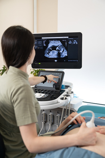 Doctor obstetrician-gynecologist does an ultrasound scan of a pregnant woman. The patient lies on the couch next to the doctor. The results of an ultrasound procedure of a pregnant woman are displayed on a computer monitor.