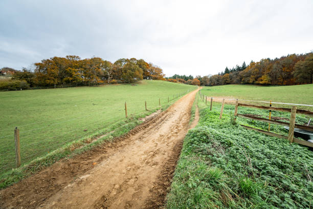 Countryside road morning walk near Guildford Surrey England Europe