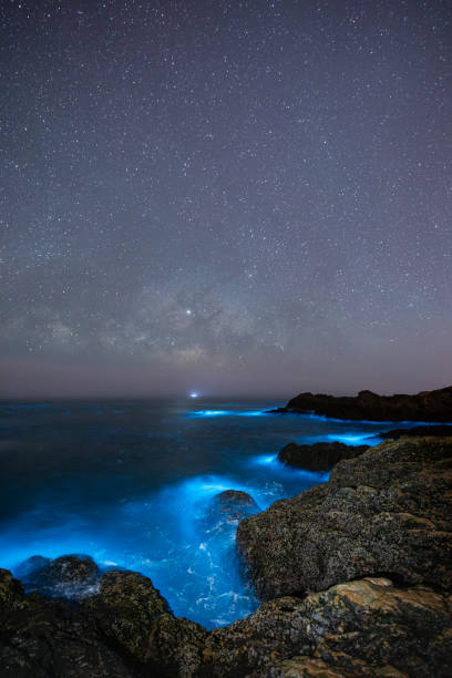 istock Blue tears Noctiluca under the starry sky. Photographed in Matsu, Taiwan 2085641000