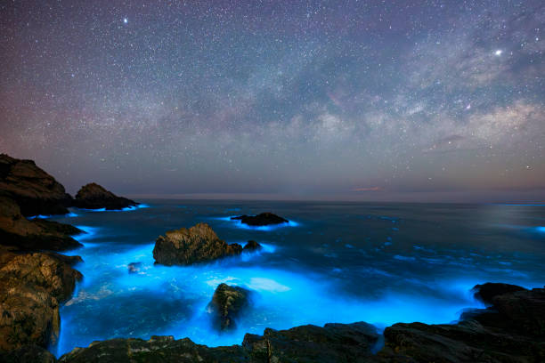 istock Blue tears Noctiluca under the starry sky. Photographed in Matsu, Taiwan 2085641538