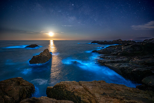 Blue tears Noctiluca under the starry sky and moon. Photographed in Matsu, Taiwan