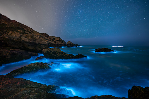 Blue tears Noctiluca under the starry sky. Photographed in Matsu, Taiwan