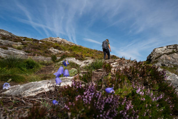 istock Woman hiking outdoors on a rocky coast, in Norway 2085649504