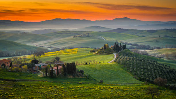 istock Tuscany rolling hills landscape, Italy 2085657709