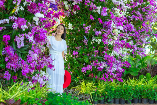 A beautiful young woman wearing a white dress and red hat stands in a field of orchids. At Mae Mo, Lampang Province, Thailand