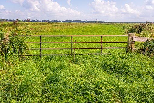 Rusty gate in the foreground of a Dutch nature reserve. The grass and wild plants grow abundantly. It is a partly cloudy day in the summer season.