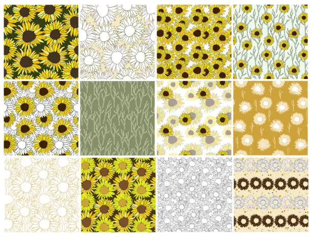 Vector illustration of Sunflower head flower seamless pattern set for textile or surface. Hand drawn floral vector elements Vector background
