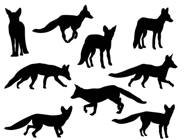 Vector illustration of Silhouettes-Fox-1