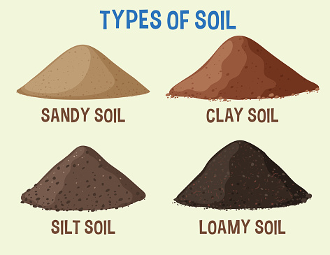 Illustration depicting four varieties of soil types