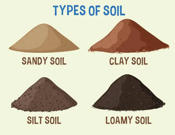 Vector illustration of Illustration depicting four varieties of soil types