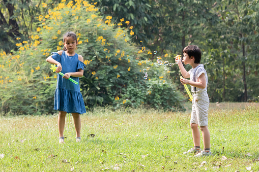 Young children playing together outdoor activities in park joyfully creating soap bubbles on sunny day with flower field background, Carefree group of multiethnic friends happy picnic on the weekend