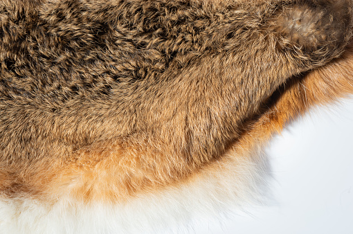 a Bunny Fur shoot in a studio from above