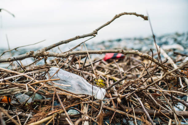 istock Plastic garbage on a beach. Plastic pollution and global ocean ecological and environment problems concept. 2085775052