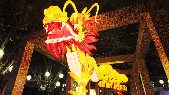 Chinese dragon latern celebrating spring  festival