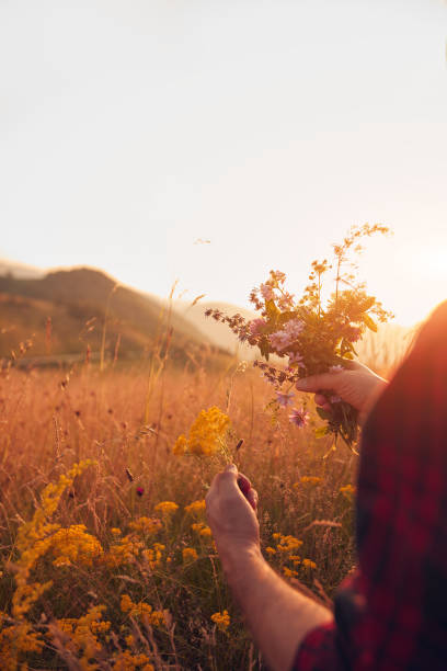 istock Man picking and holding field flowers in nature. 2085813362