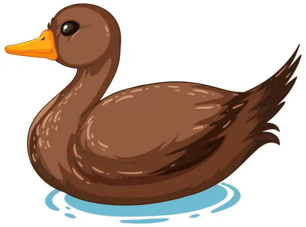 Vector illustration of Vector graphic of a brown duck floating calmly