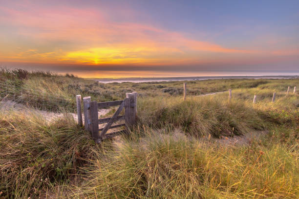 istock Walking trail in coastal dune landscape 2085818614
