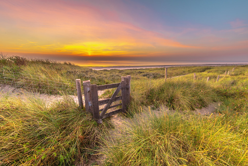 Trail through dune landscape on the coastline of North Sea. Wijk aan Zee, North Holland, Netherlands. Marine landscape in nature of Europe.