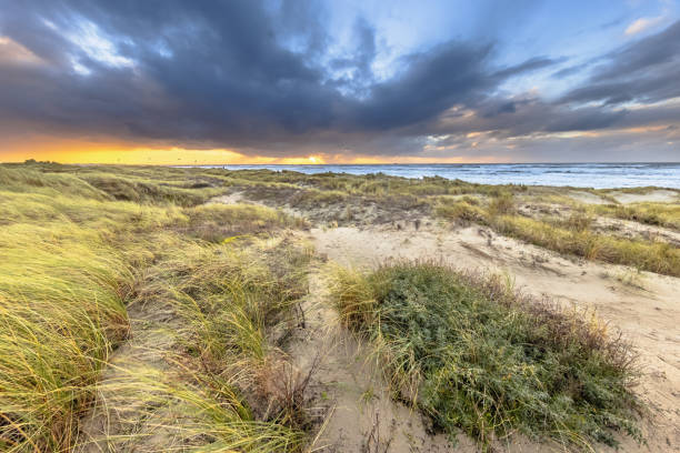 istock Dune Landscape under cloudy autumn sky 2085826431
