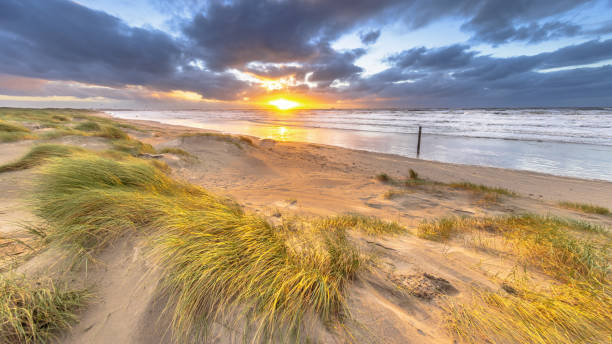 istock Dune Landscape under cloudy autumn sky 2085830916