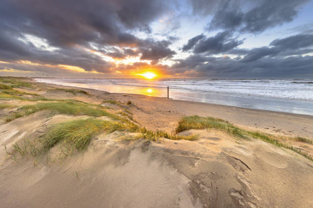 istock Dune Landscape under cloudy autumn sky 2085831964