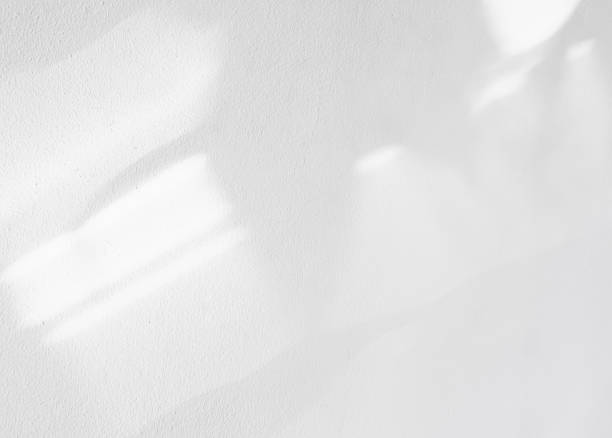 istock White wall background,Concrete texture with Shadow leaves,Empty grey Cement room with Sunlight reflect on white plaster paint,Light effect for Monochrome photo, mockup, Product Design presentation 2085858676