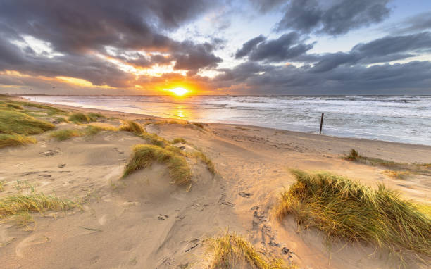istock Dune Landscape under cloudy autumn sky 2085869772