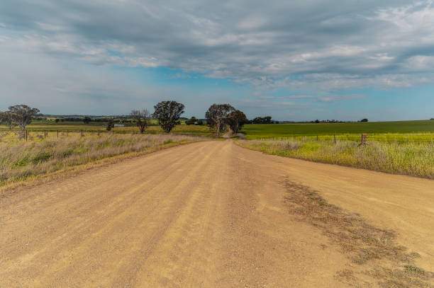 istock The beautiful rapeseed fields of Cowra Town 2085873565
