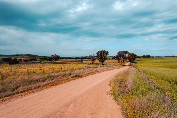 istock The beautiful rapeseed fields of Cowra Town 2085882094
