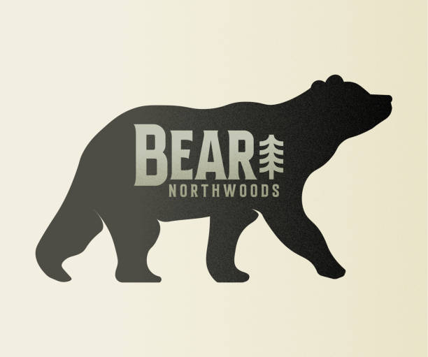 ilustrações de stock, clip art, desenhos animados e ícones de vintage wild bear icon vector design image - urso