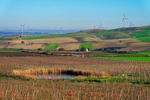 Alternative Energy Wind Turbine in Beautiful Green Landscape