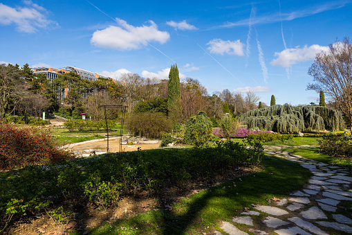 Rose garden of the Parc de la Tête d'Or, Lyon, in spring