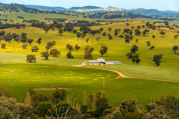 istock The beautiful rapeseed fields of Cowra Town 2085901073