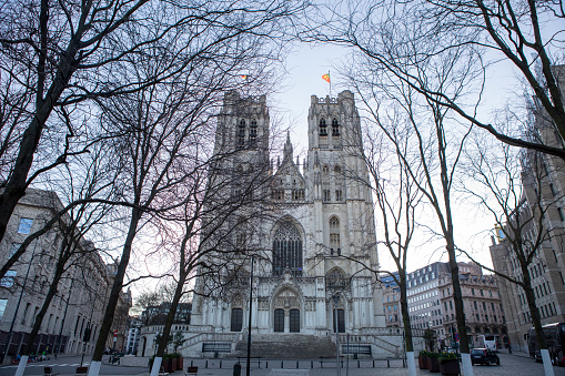 The western facade of St Michael and St Gudula Cathedral, Brussels in springtime