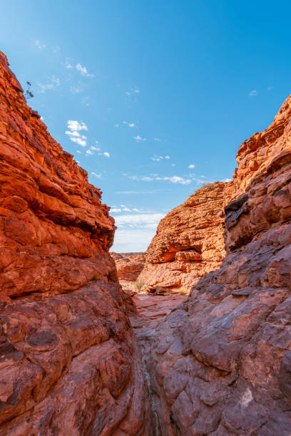 istock Kings Canyon in the Northern Territory 2085943149