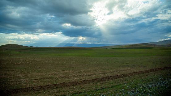 plain grass land in uzbekistan