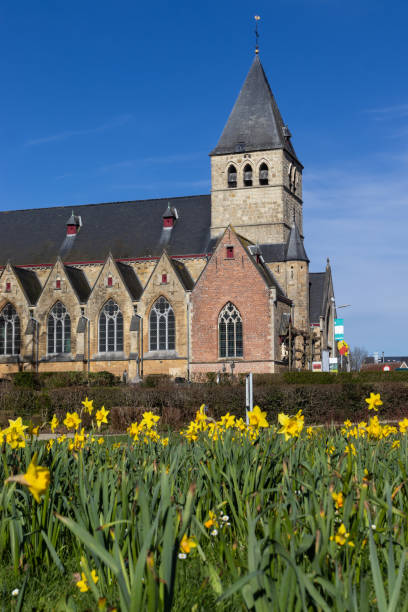 Springtime view of St.Martins (Sint Martinus) church in Herzele, East Flanders, Belgium. Copy space below.