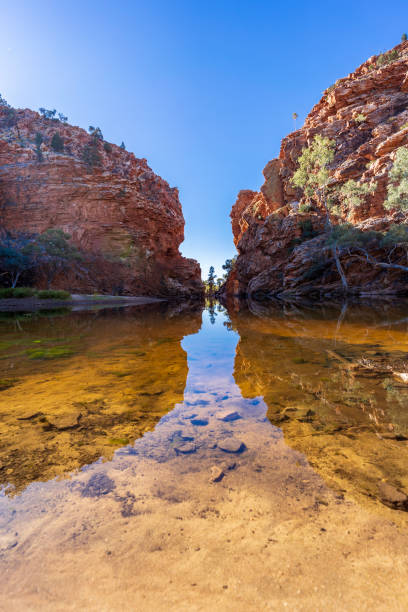 ellery creek big hole - ellery creek stock-fotos und bilder