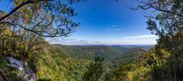 istock View over Rainforest with Waterfall in Springbrook National Park, Queensland, Australia 2086065086